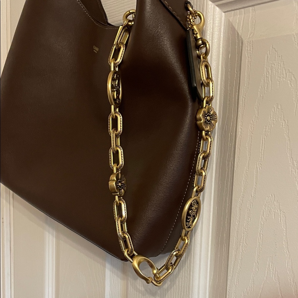 Coach chain only